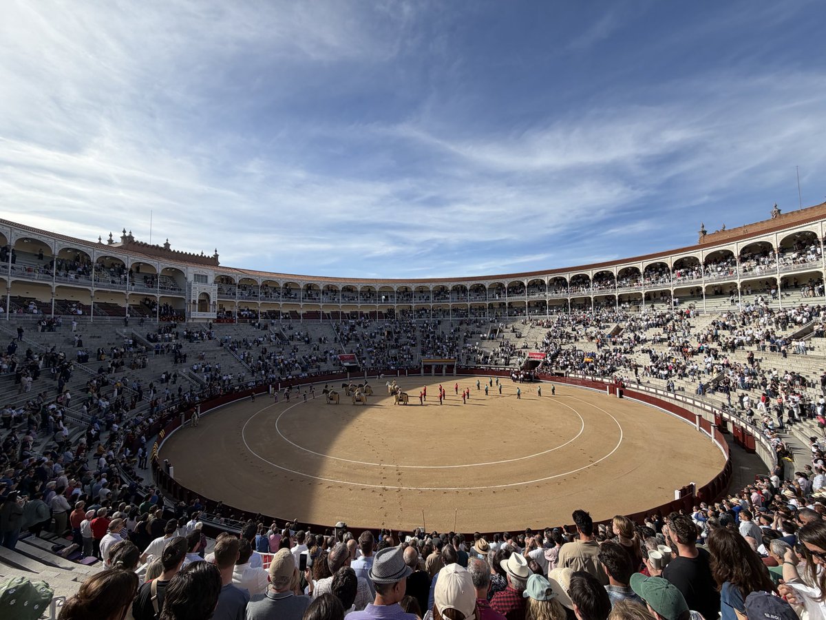 Blog Casta y Bravura tweet media