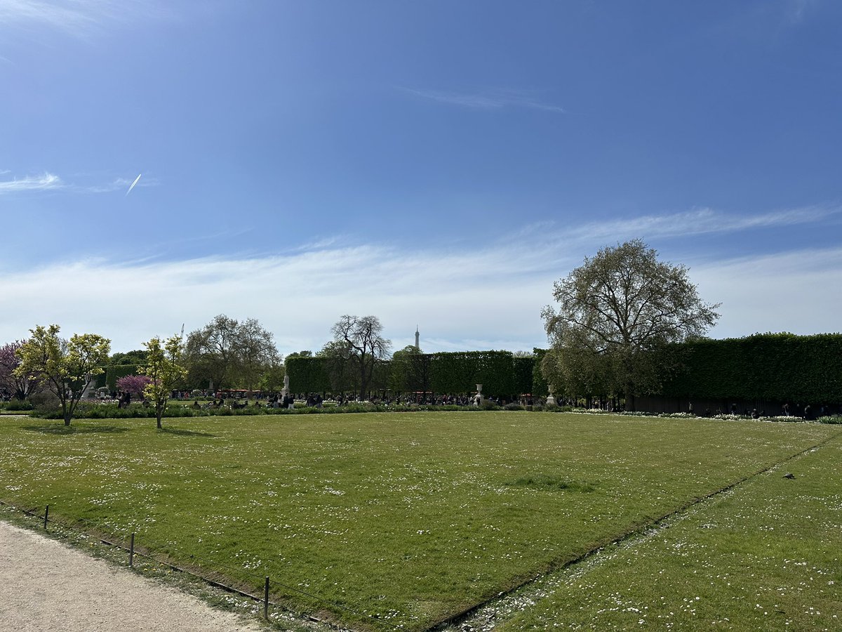 Spigg 🔶 tweet media