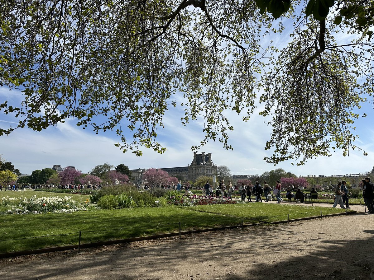 Spigg 🔶 tweet media