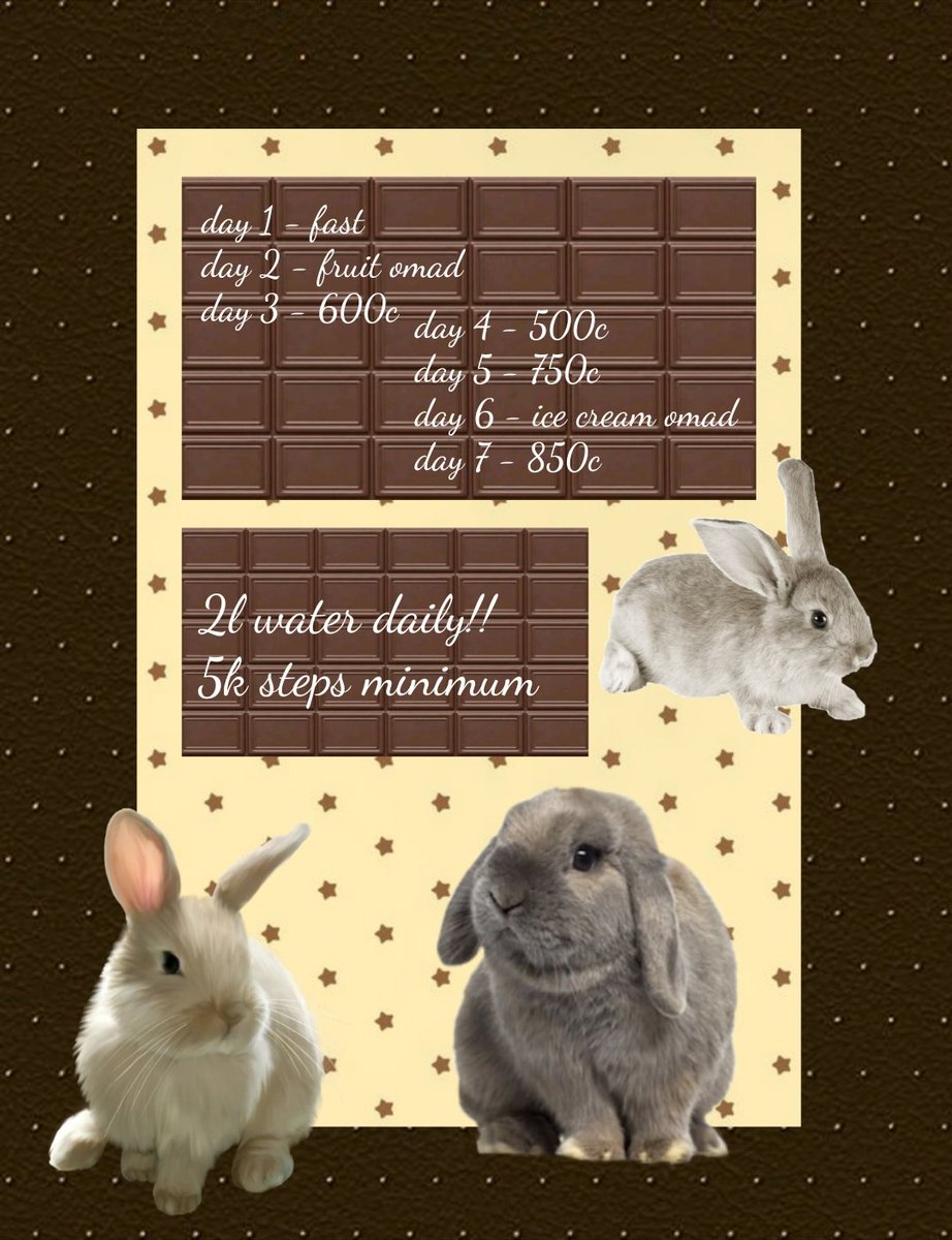 areesha 🐋 tweet media