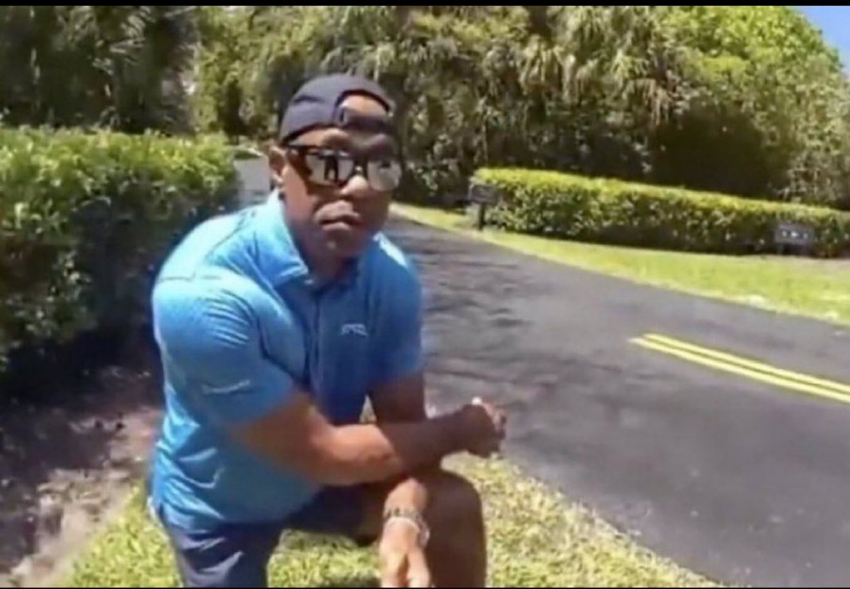 The lover 🦈 tweet media