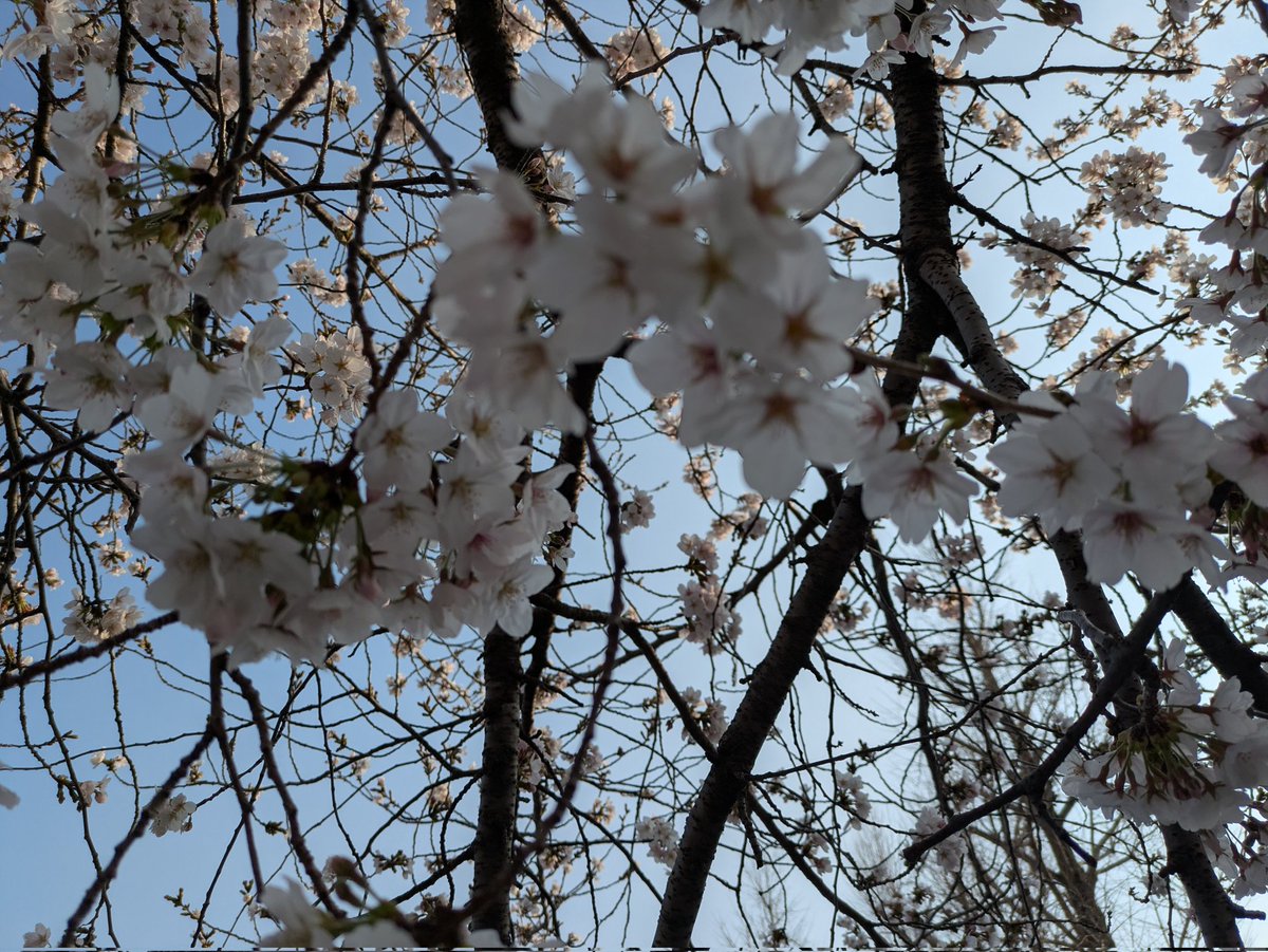 おくじゅ/ヨルダンのＪ tweet media