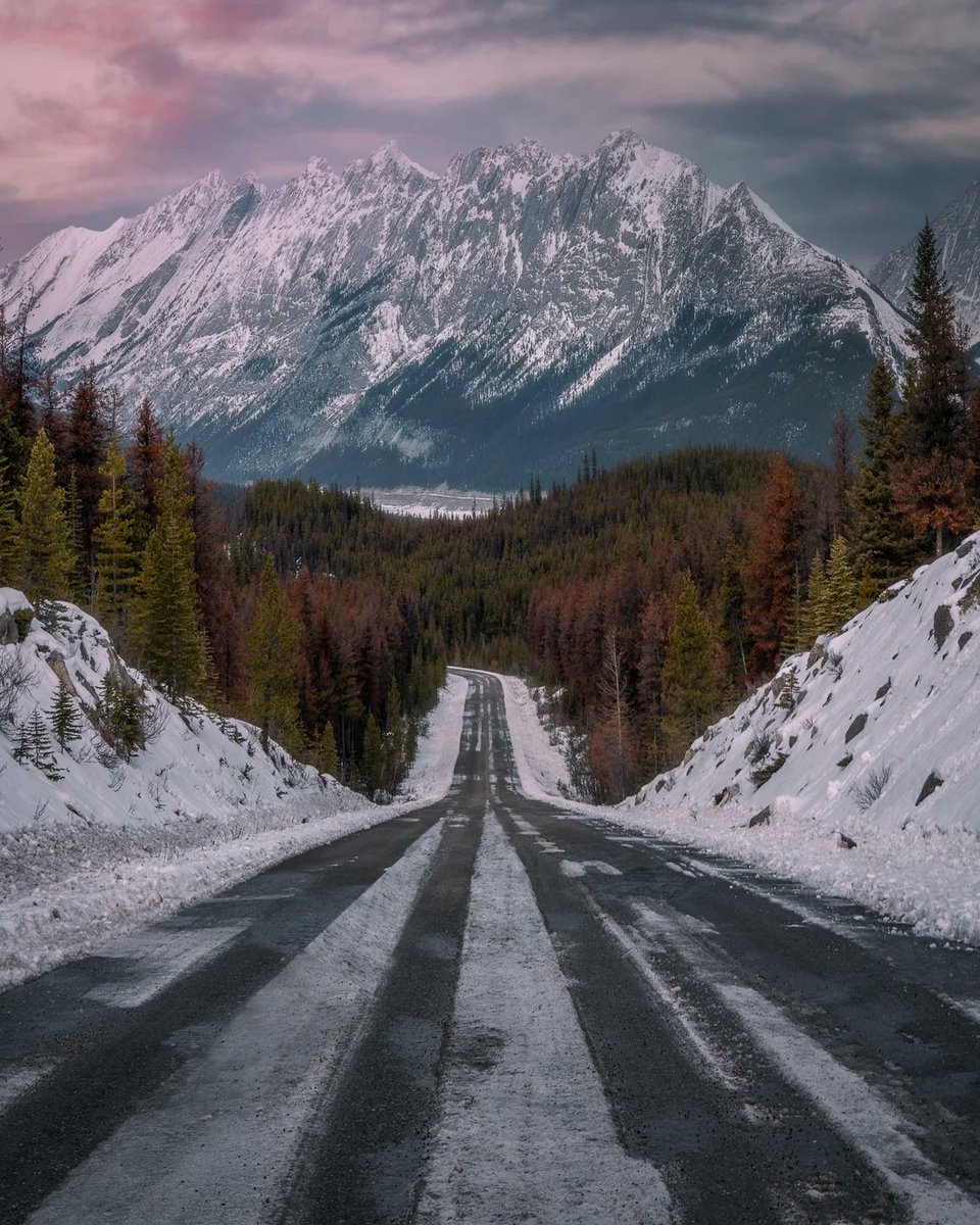 Purely Green tweet media