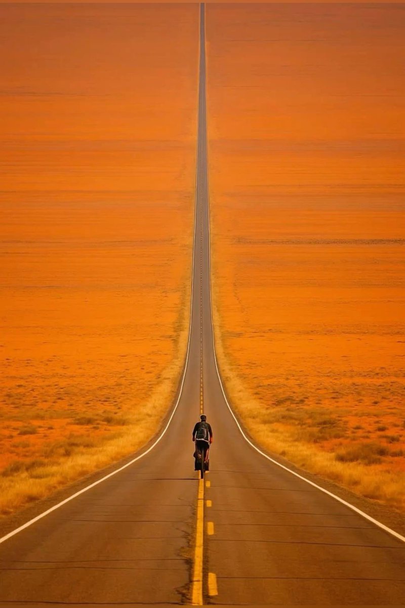 Rafa Alpha tweet media