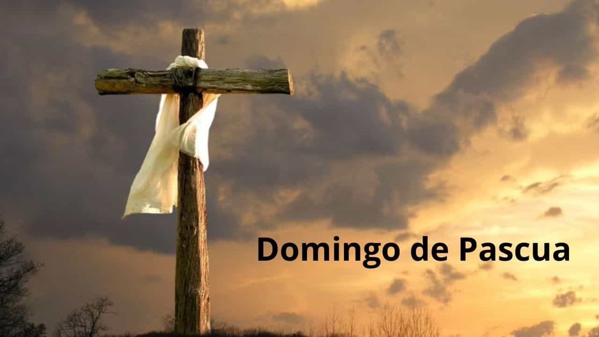NeuroManrique's tweet photo. Domingo de Pascua!
Viva Christo Rey!!! https://t.co/i33Tc4UETR