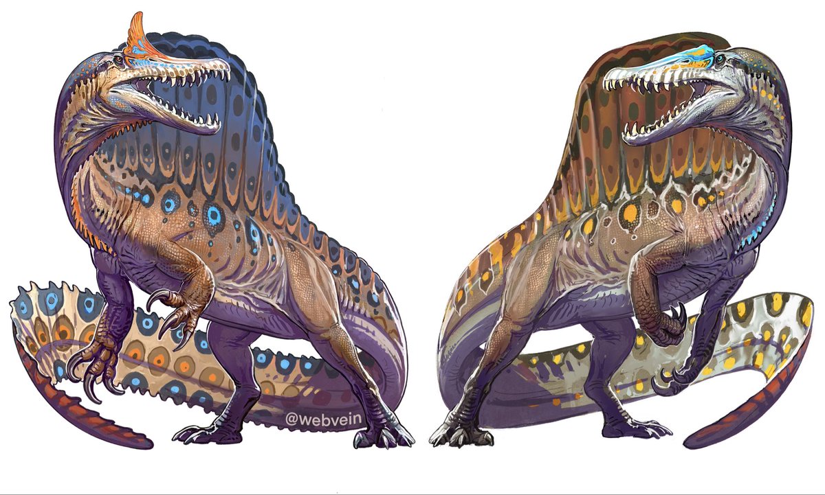 Drew these the week of new spino release but forgot to post ‘em.
