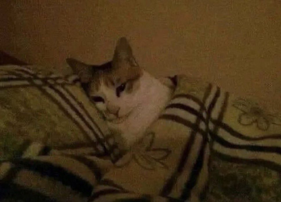 ༺ lawley ☽ ༻ tweet media