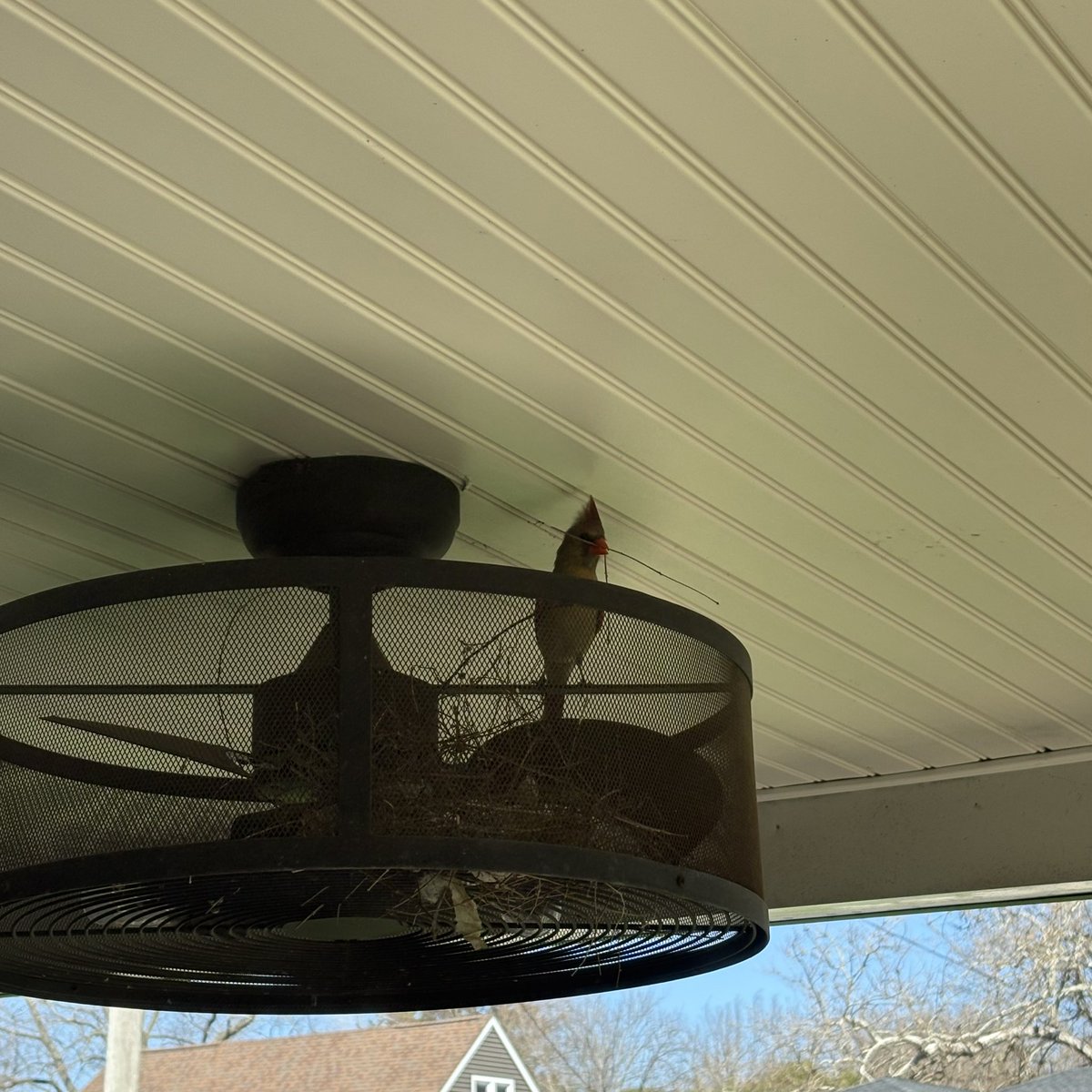 parker (Lucanus) tweet media