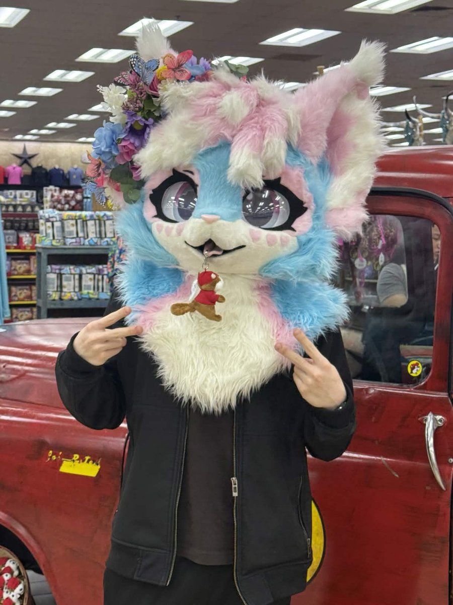 pawki ➡️ TFF tweet media