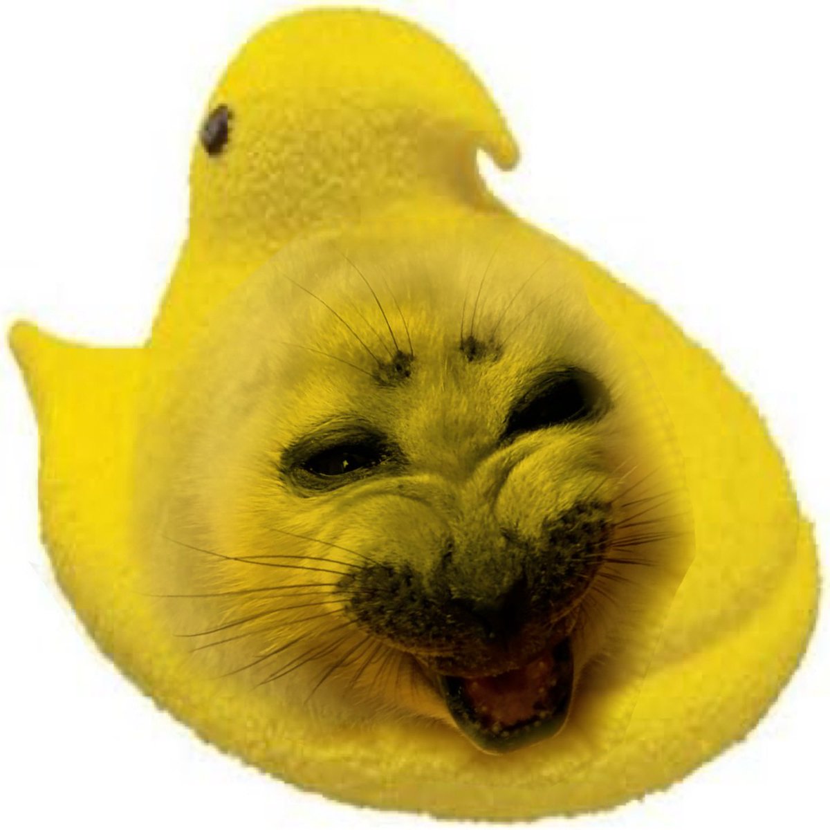 january febuary moss april .𖥔 ݁ ˖ tweet media