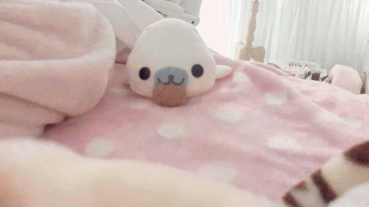 cece ✿ tweet media