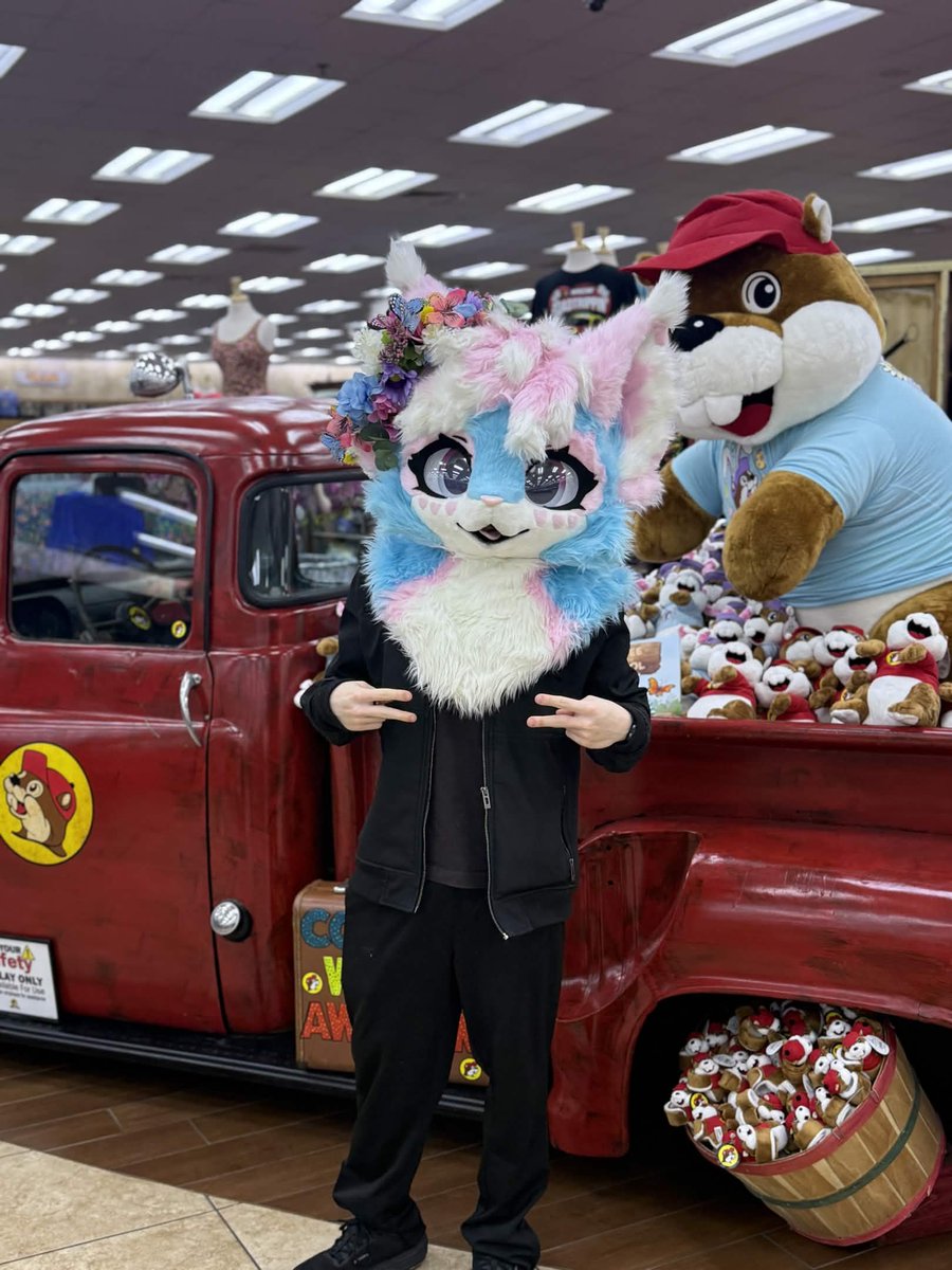 pawki ➡️ TFF tweet media