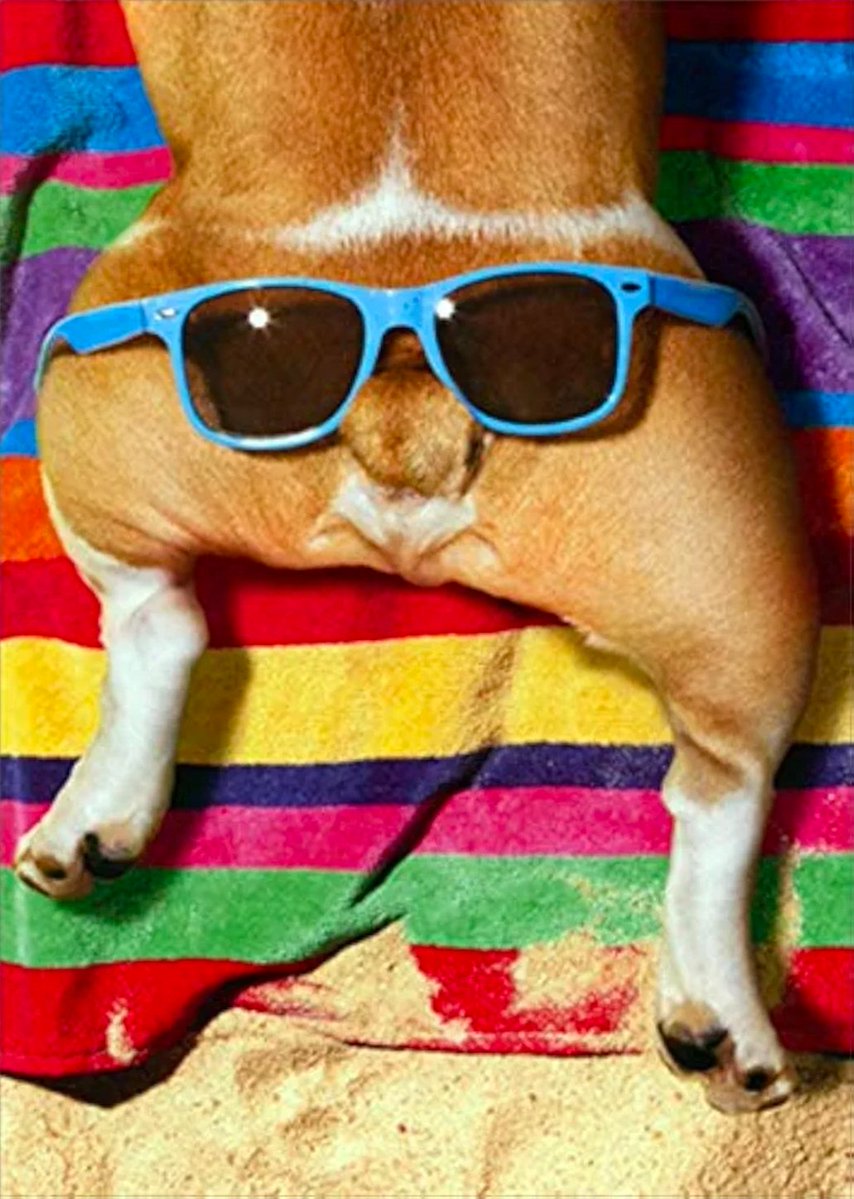 SuperDuper tweet media