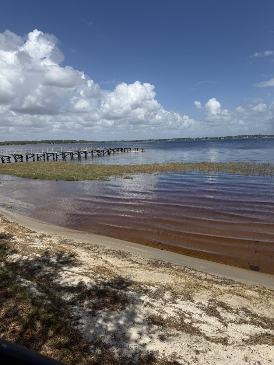 ARA de Colombia tweet media