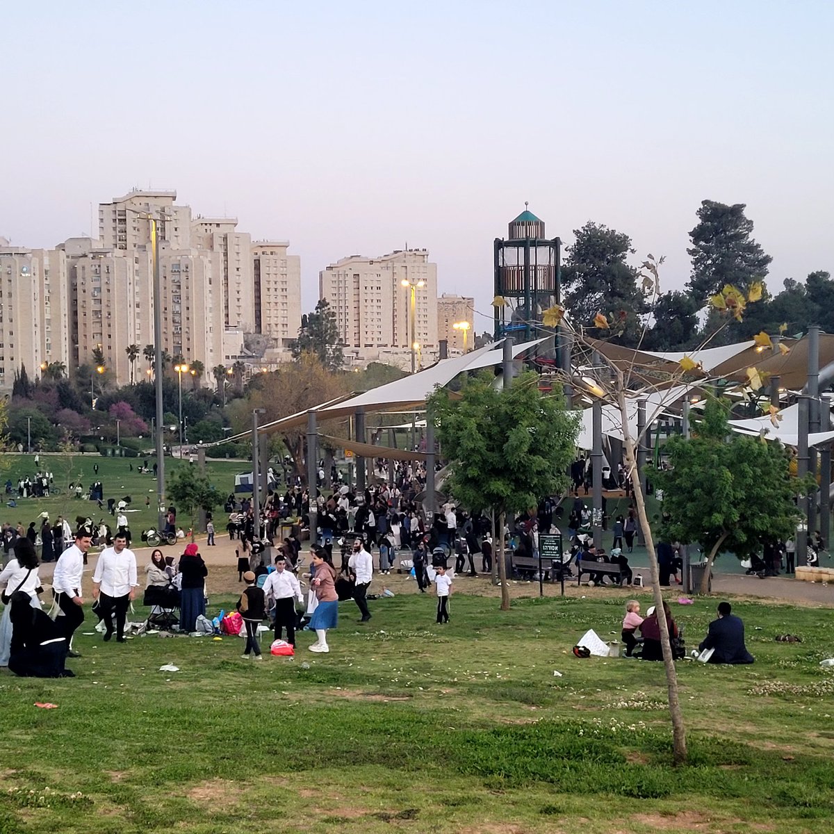 Yael Freidson יעל פרידסון tweet media