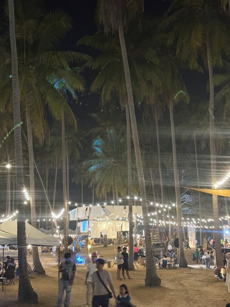 พิชา tweet media