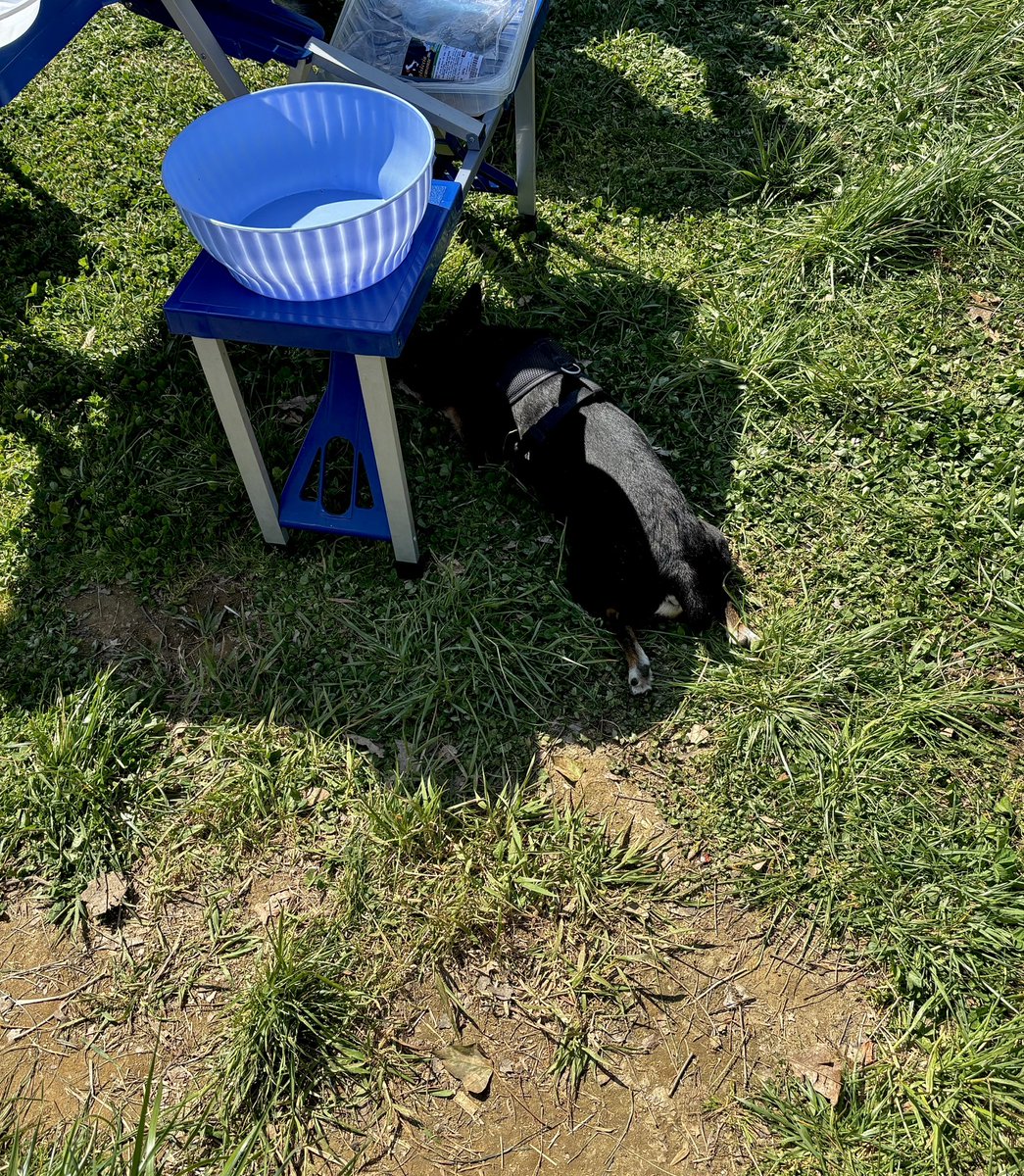 leonardi ♡ tweet media