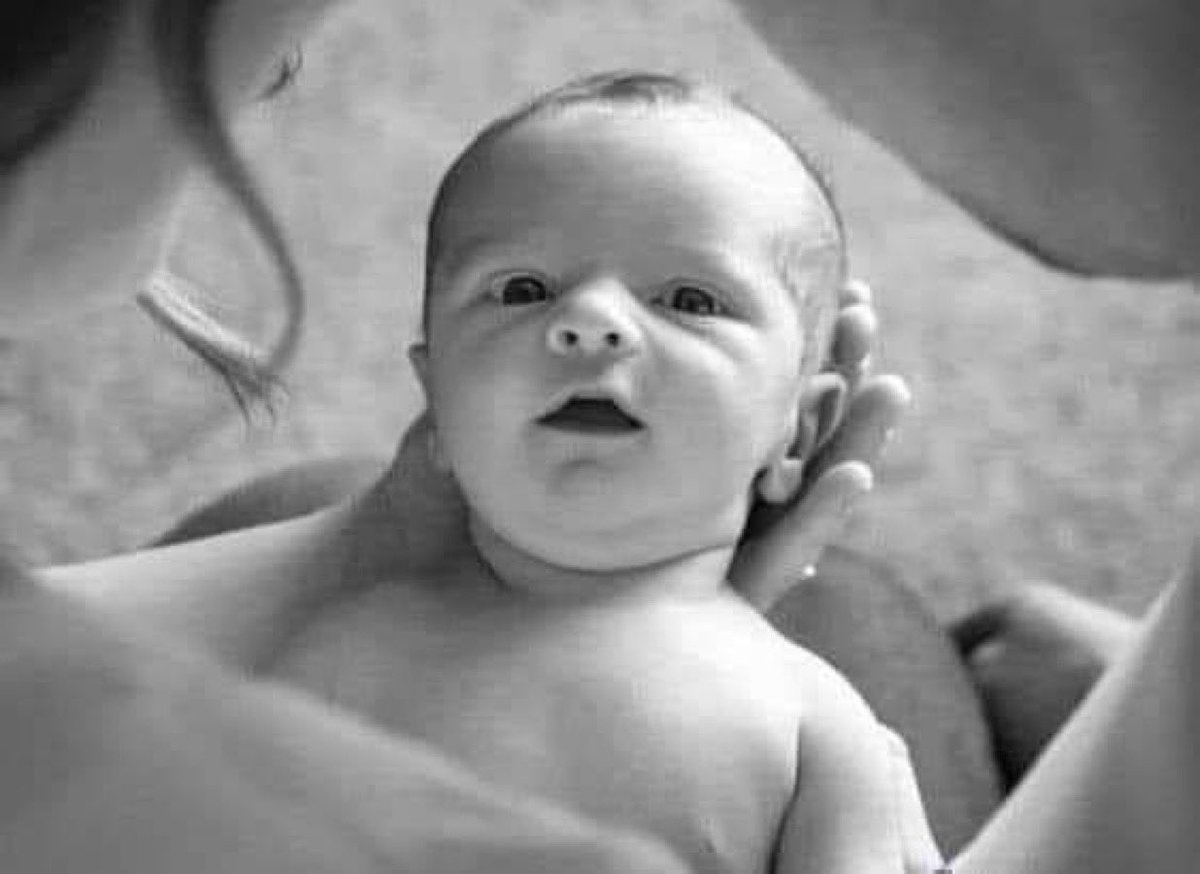 سقراط🌟 tweet media