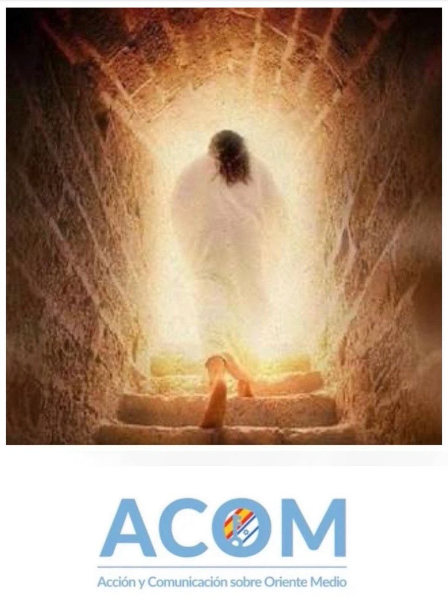 Acción y Comunicación sobre Oriente Medio - ACOM tweet media