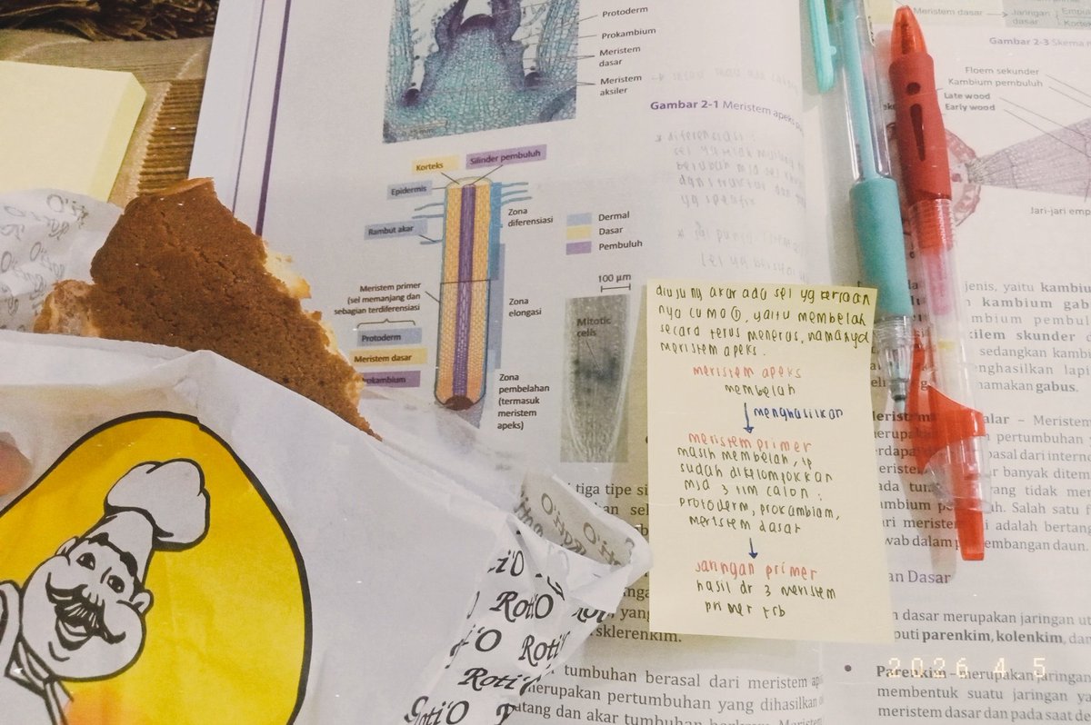 saaturnrosess's tweet image. 📓. 05 ◎ 04 ◎ 26 #LockIn
hari ini cuma nyicil materi OSN sama eval to kemarin hihi seru, tapi ngga lama bgt karena tiba-tiba gaenak badan (bau-bau besok mau bolos aja) 💤💤