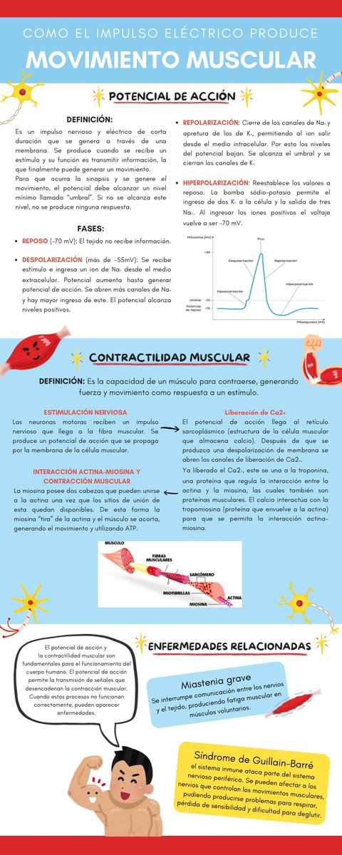 leonor𓂃˖ ࣪⊹ tweet media