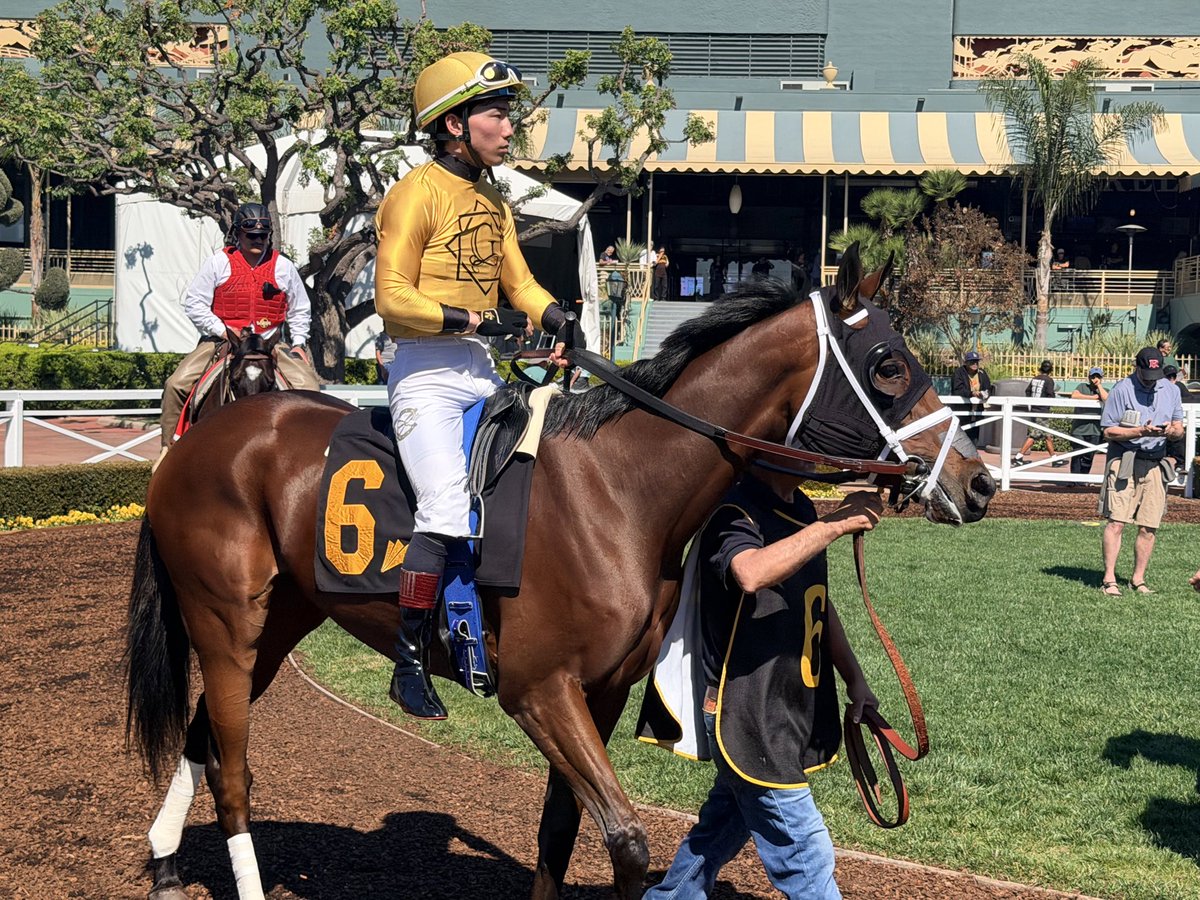 GVG Genetics tweet media