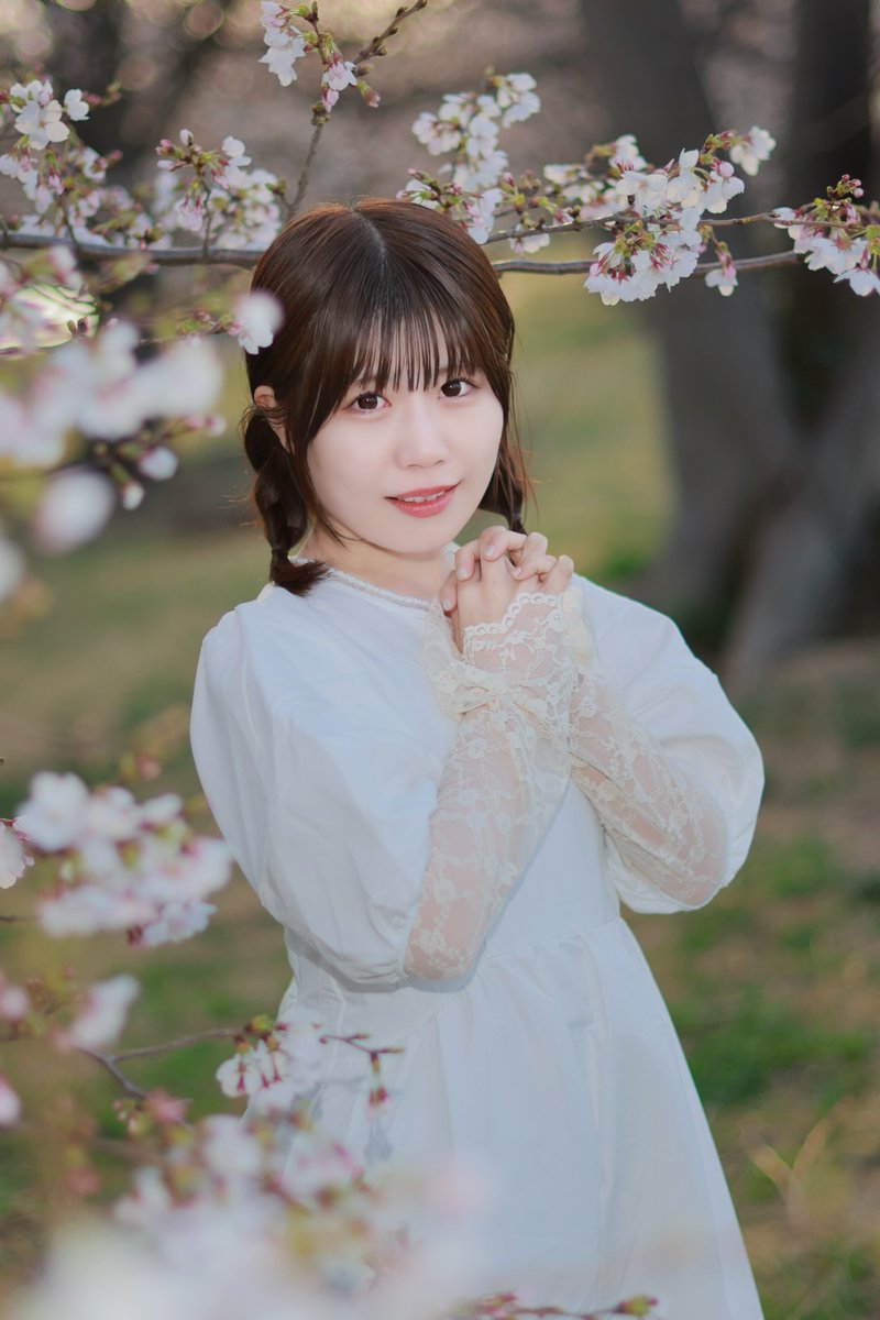KFuna28's tweet image. おはようございます☀
今週も宜しくお願いします🙇
『 桜の季節 🌸 』
小咲さちさん
@Photo_momousa 

#小咲さち
#ガールズフォト 
#portrait
#可愛い #love #美少女 
#ぐっちゃんphoto 
#可愛いと思ったらいいね
#桜ポートレート
#桜 
#fairyelements 
#MelＭi
#rf45mmf12stm