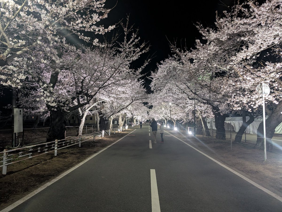 ame Cafeソフトクリームスイーツ専門店 tweet media