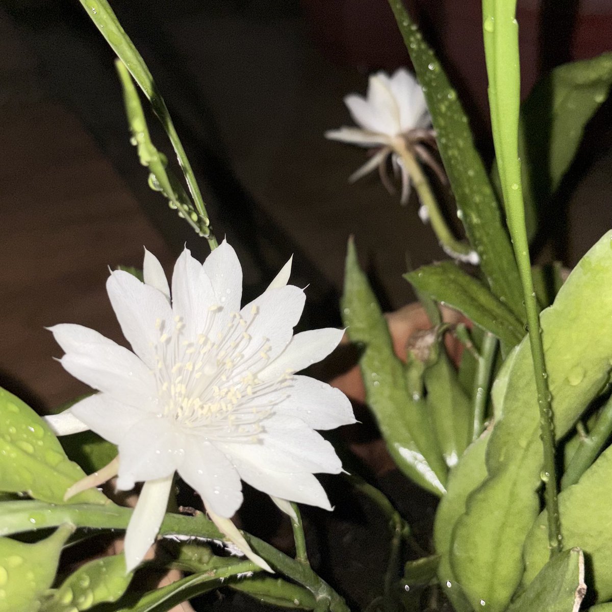 Labo | CF22 Prep 😬 tweet media