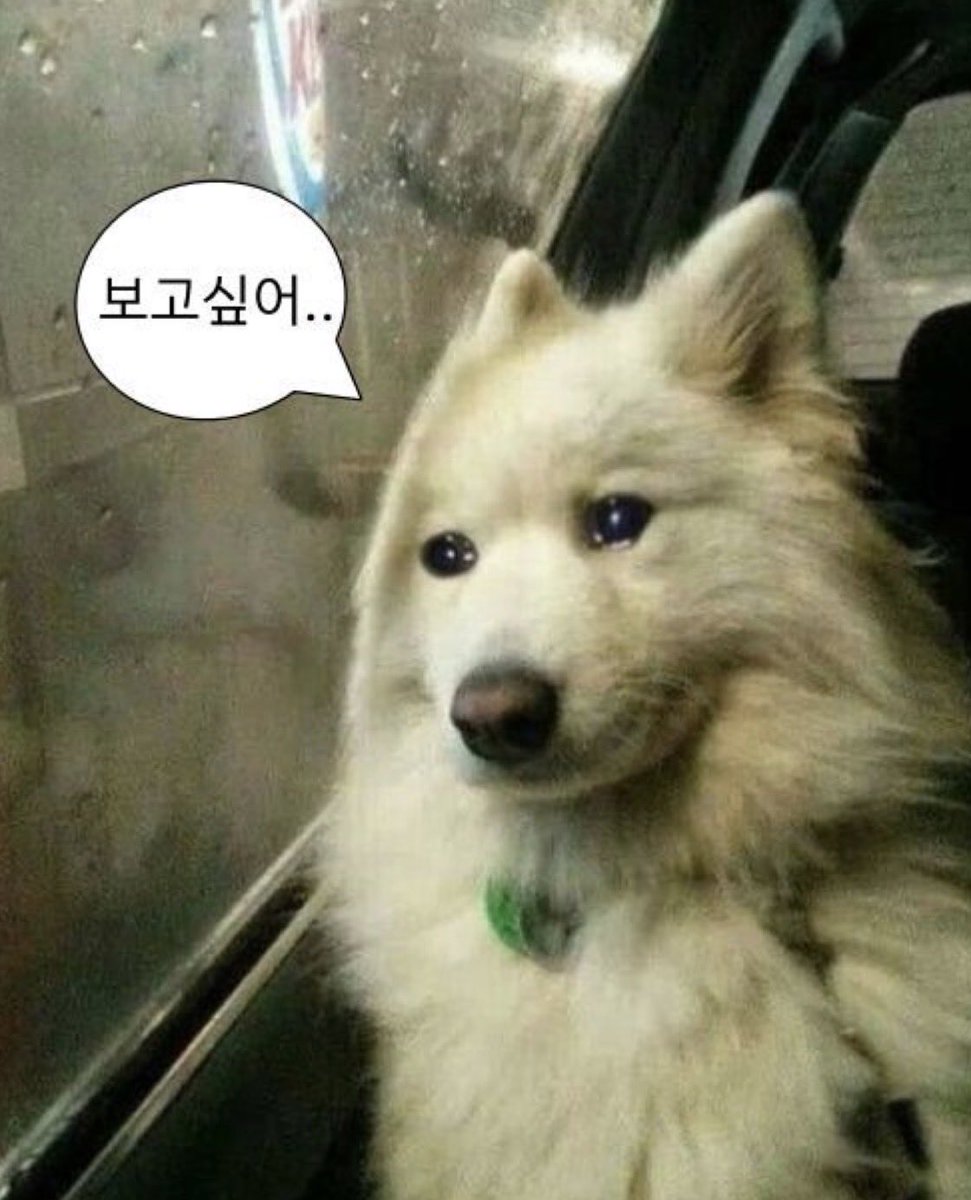 푸짐삔 tweet media