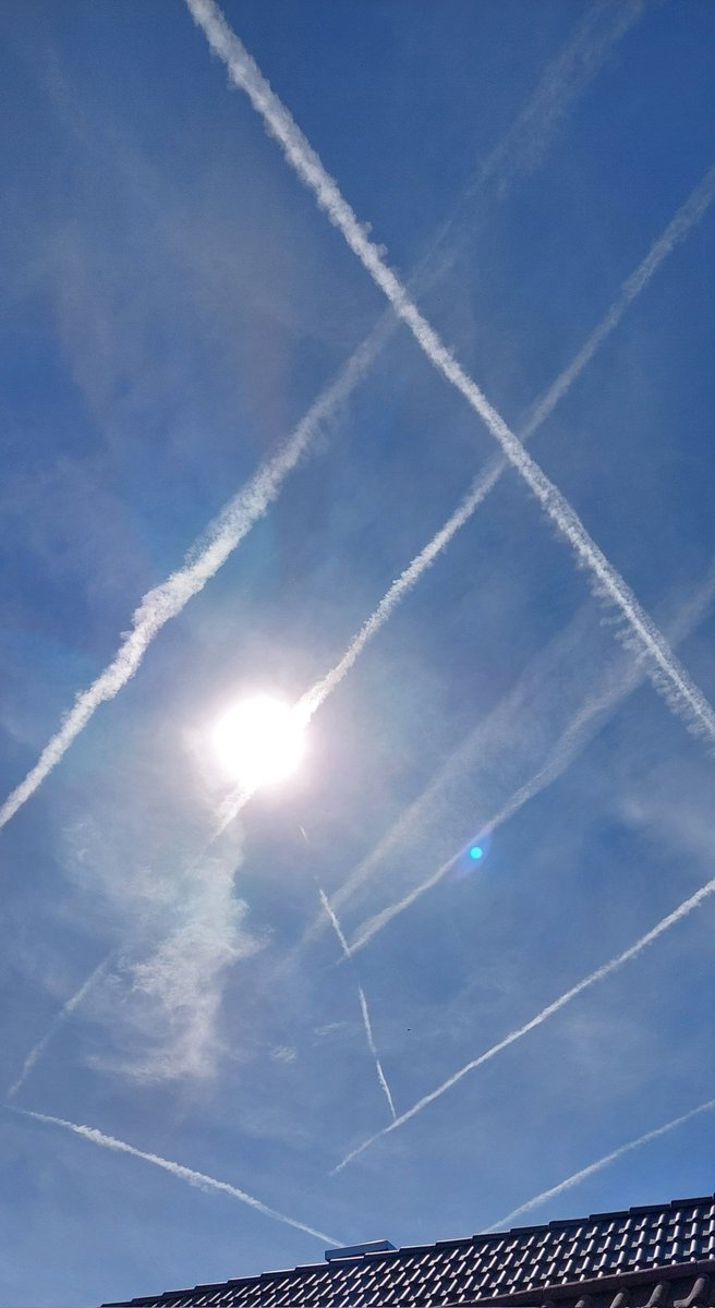 Zigeuner ohne Klarname 🇩🇪🦅 tweet media