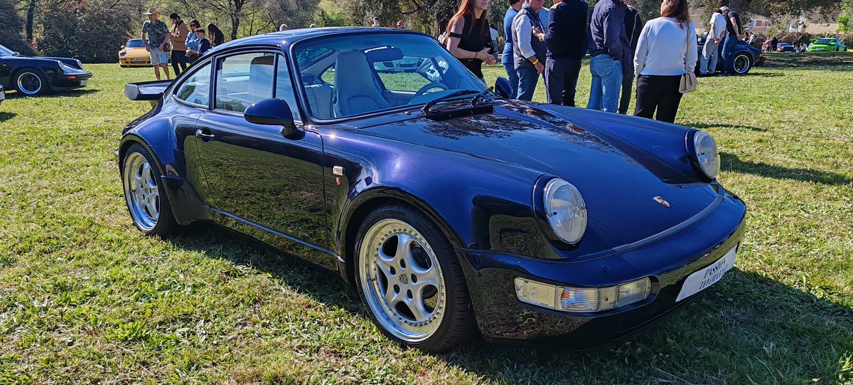 BenjiBurn tweet media