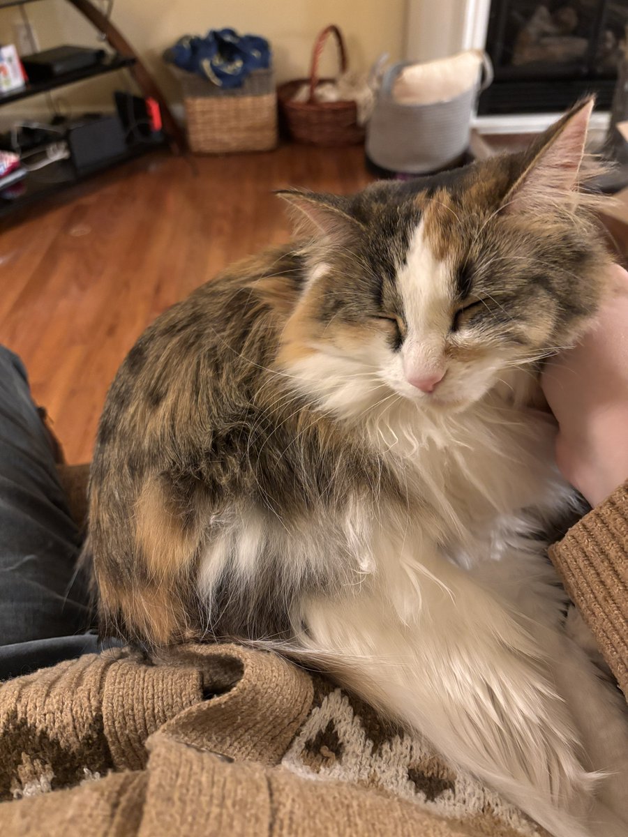 Sunglass Night Mode Edition 🌑 tweet media