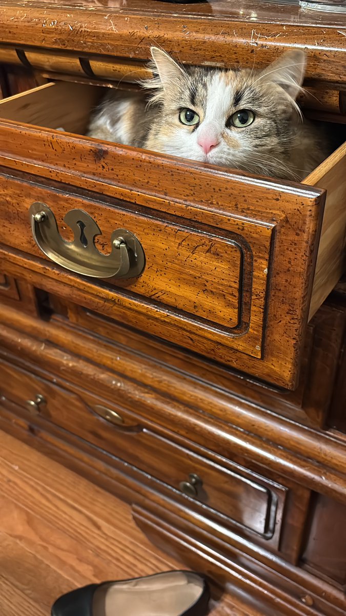 Sunglass Night Mode Edition 🌑 tweet media