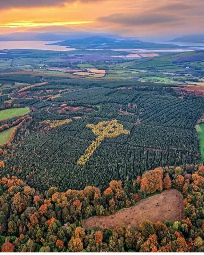 The Emery Celtic Cross, Donegal

Crafted from roughly 3,000 Japanese Larch deciduous conifers, planted by forester Liam Emery