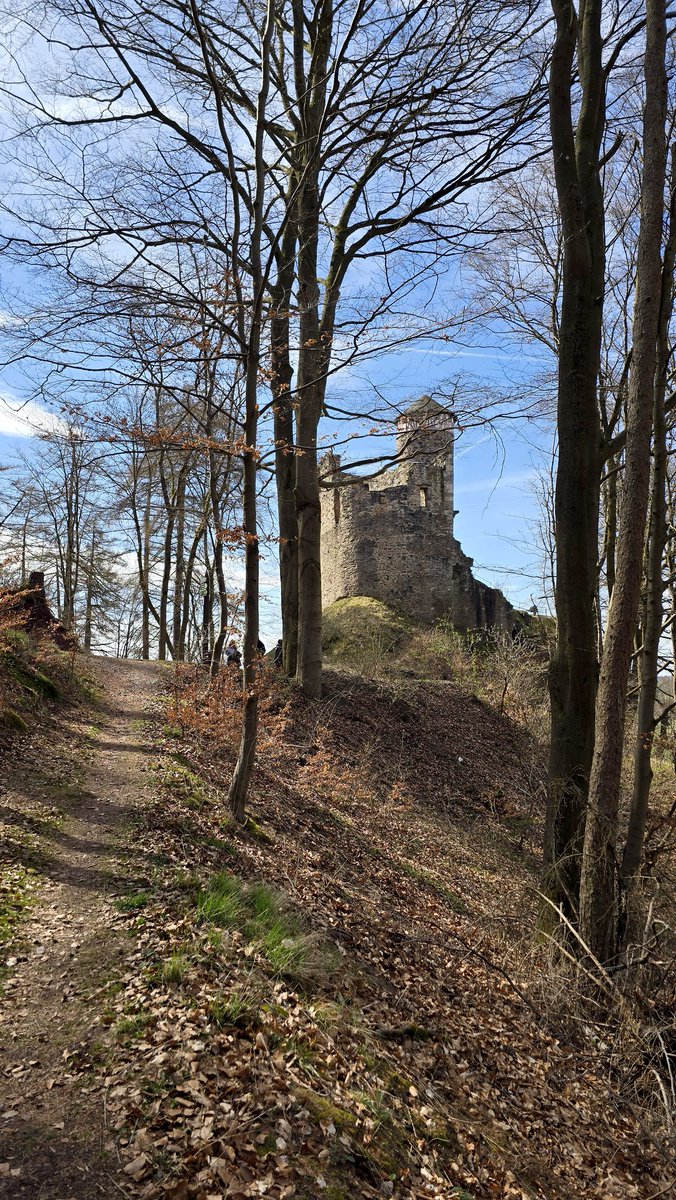 Ormuz 🕊 tweet media