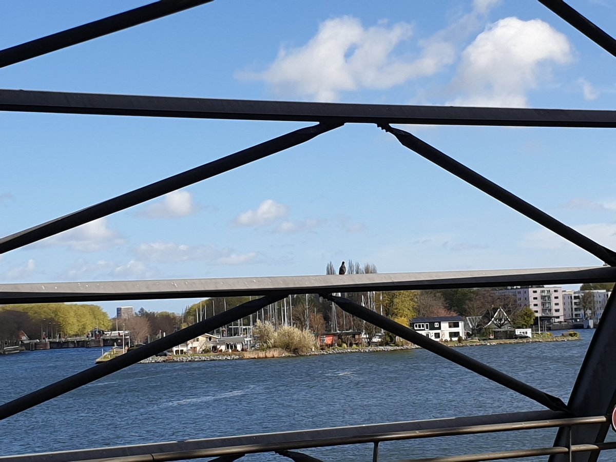 nob 🔻🍉 tweet media