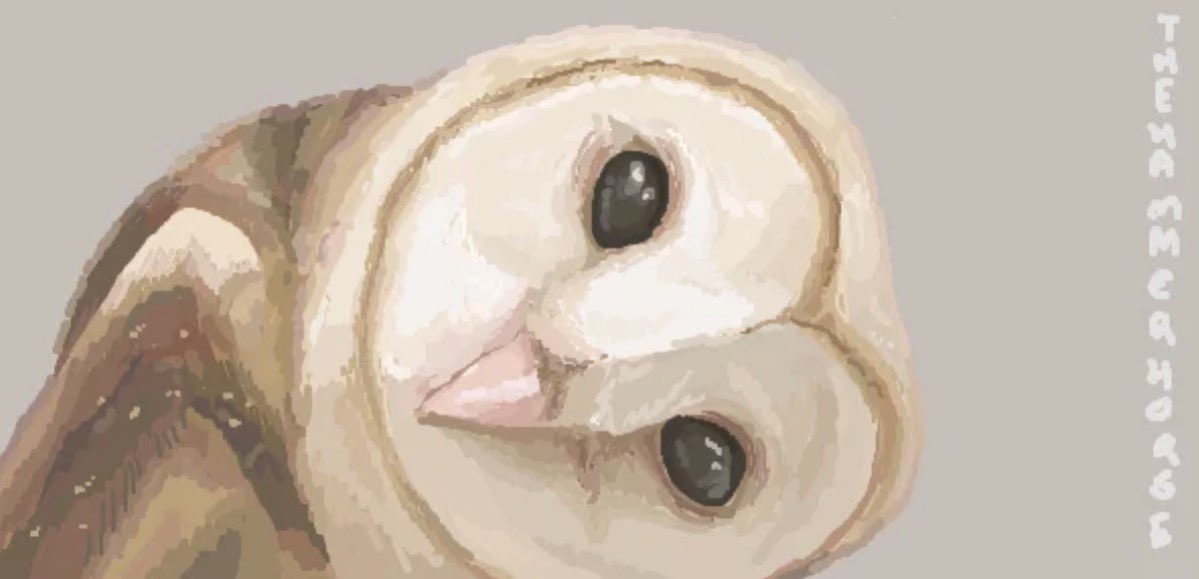 Charles F. Offdensen tweet media