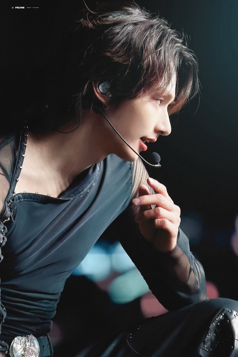 FELINE_JUNOLOGY tweet media