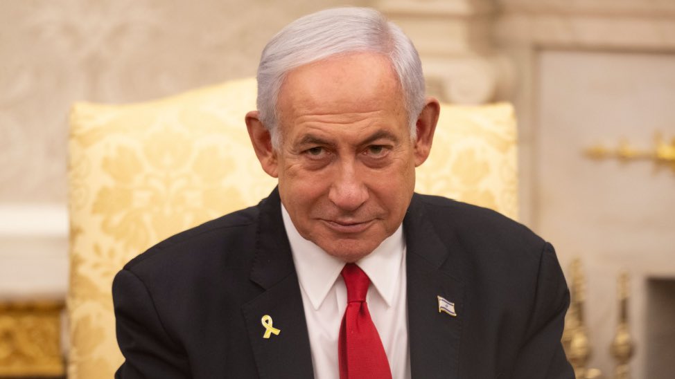 Whale Insider tweet media