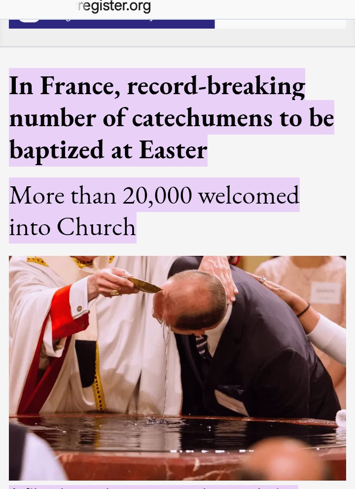 DragonSword778 tweet media