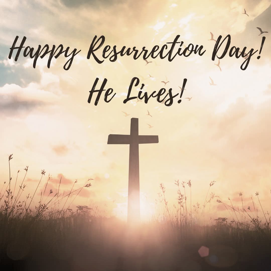 CheeseAcresFarm's tweet photo. #Easter #resurrectionsunday #helives #thestoneisrolledaway https://t.co/huDlgRp3WO