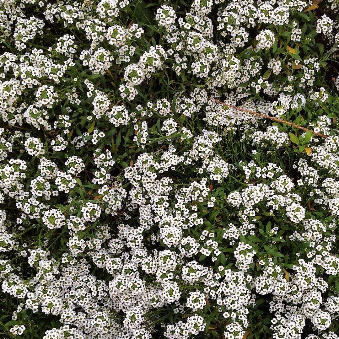 zu☁️ tweet media