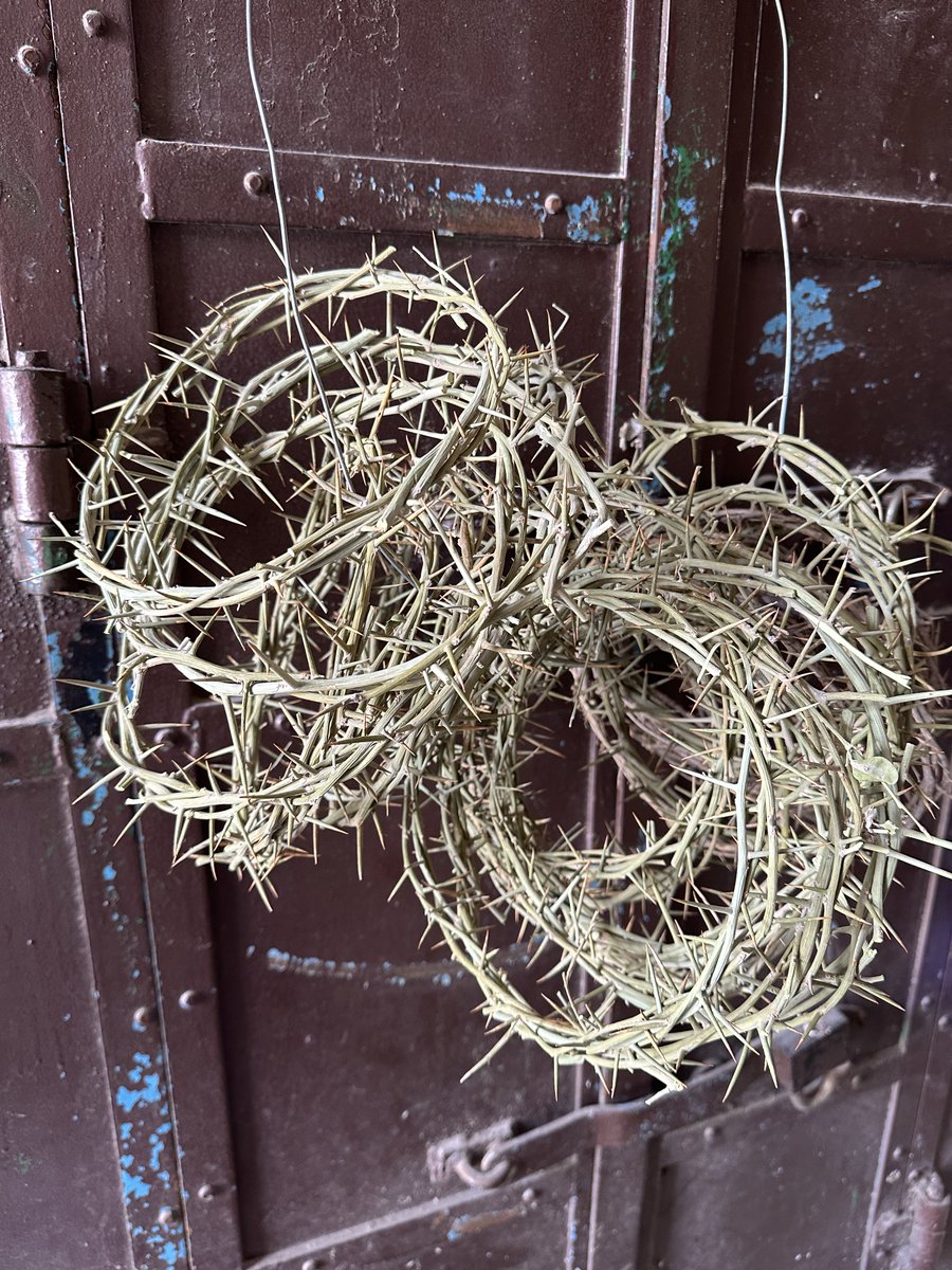 Katie Pavlich tweet media