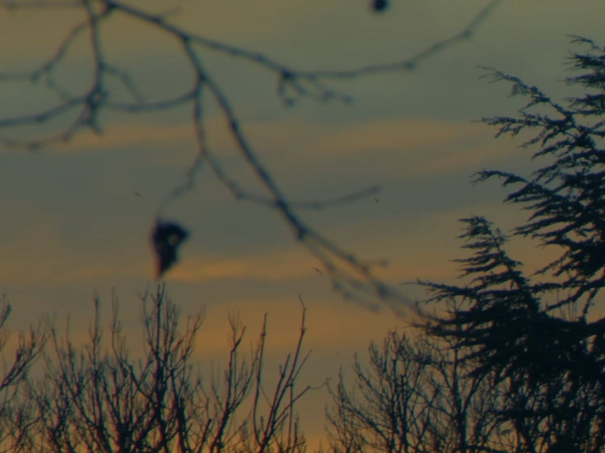 tris 🍉 tweet media