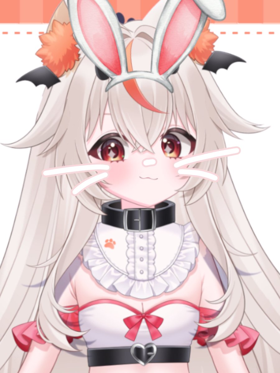 Chiwan Meido | pomchi vtuber🐾🥯 tweet media