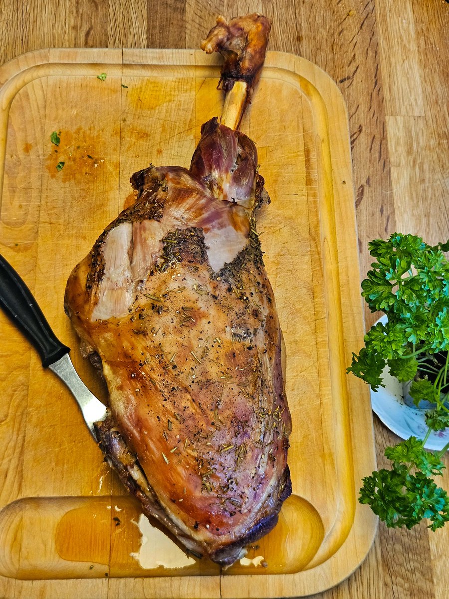 Jordis the Shieldmaiden 🛡️⚔️ tweet media