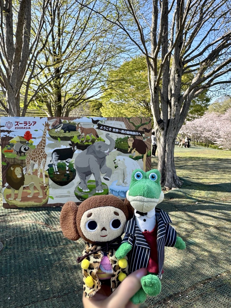 chiebu_travel's tweet photo. ズーラシアにお花見に行きました✨✨その①
🌸桜がとっても綺麗でした🌸
#チェブラーシカ
#cheburashka
#ゲーナ
#gena
#ぬいどり
#桜
#花見
#ズーラシア https://t.co/lhY6uEeYc0