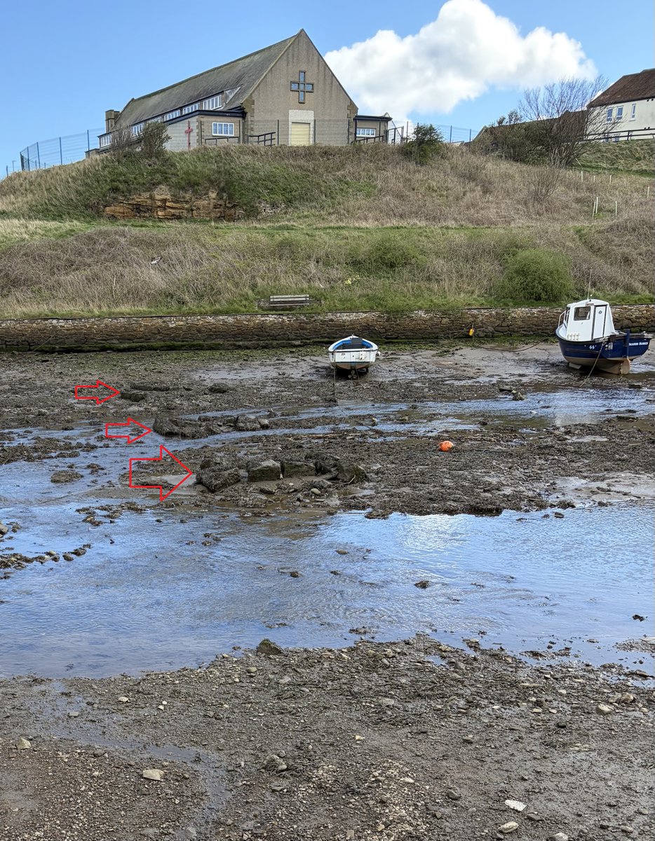 Billy@67 tweet media