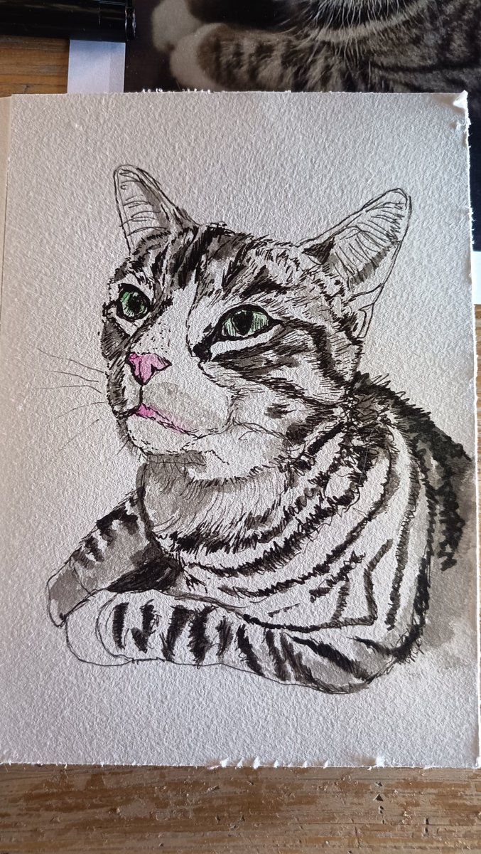 Merydrous tweet media